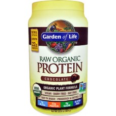 Garden of Life RAW Organic Protein Chocolate -- 23.4 oz