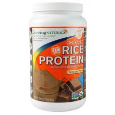 Growing Naturals Organic Rice Protein Chocolate Power -- 2 lbs